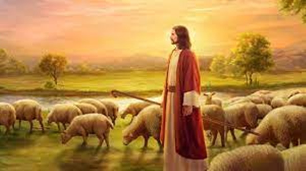 Jesus, o bom pastor - Jo 10,1-10 » Cidade News Online